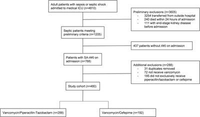 Progression of kidney injury with the combination of vancomycin and piperacillin-tazobactam or cefepime in sepsis-associated acute kidney injury